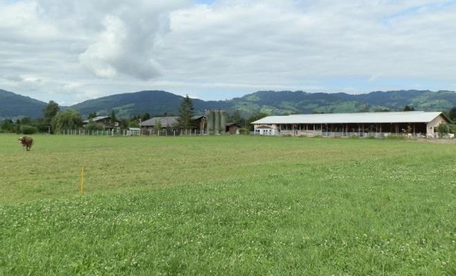 فيلا ستايغمات باويرنهوف - إرلبنيس Montlingen المظهر الخارجي الصورة